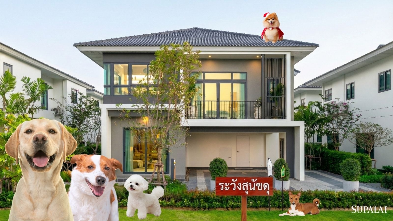 How To ปิดบ้านให้ปลอดภัย ในช่วงหยุดยาวปีใหม่ หมาดุ.jpg